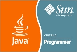 Sun Certified Programmer for Java 5 (SCJP)
